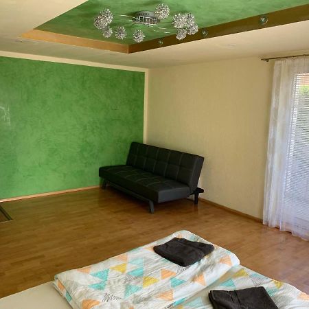 Nexi S Appartement An Der Enns 9 ラートシュタット エクステリア 写真