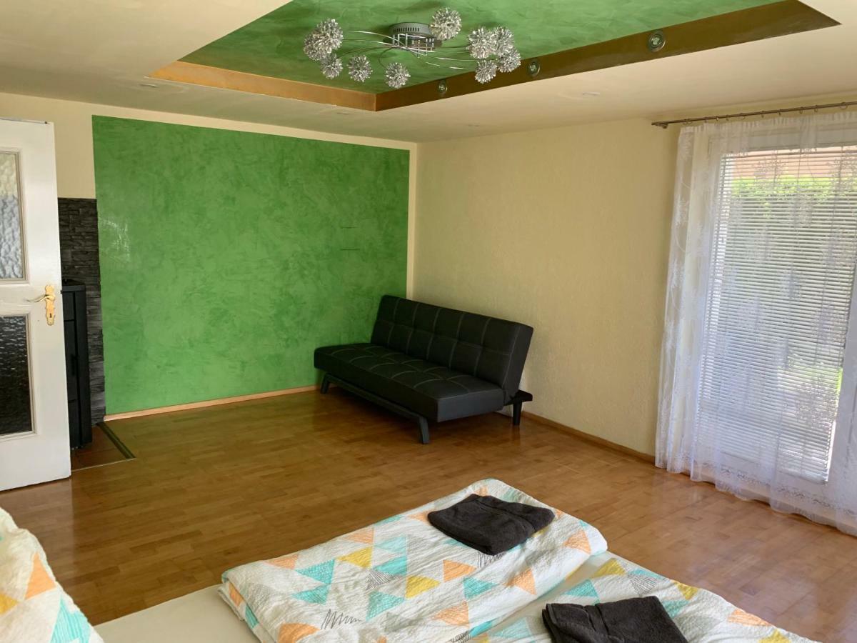 Nexi S Appartement An Der Enns 9 ラートシュタット エクステリア 写真