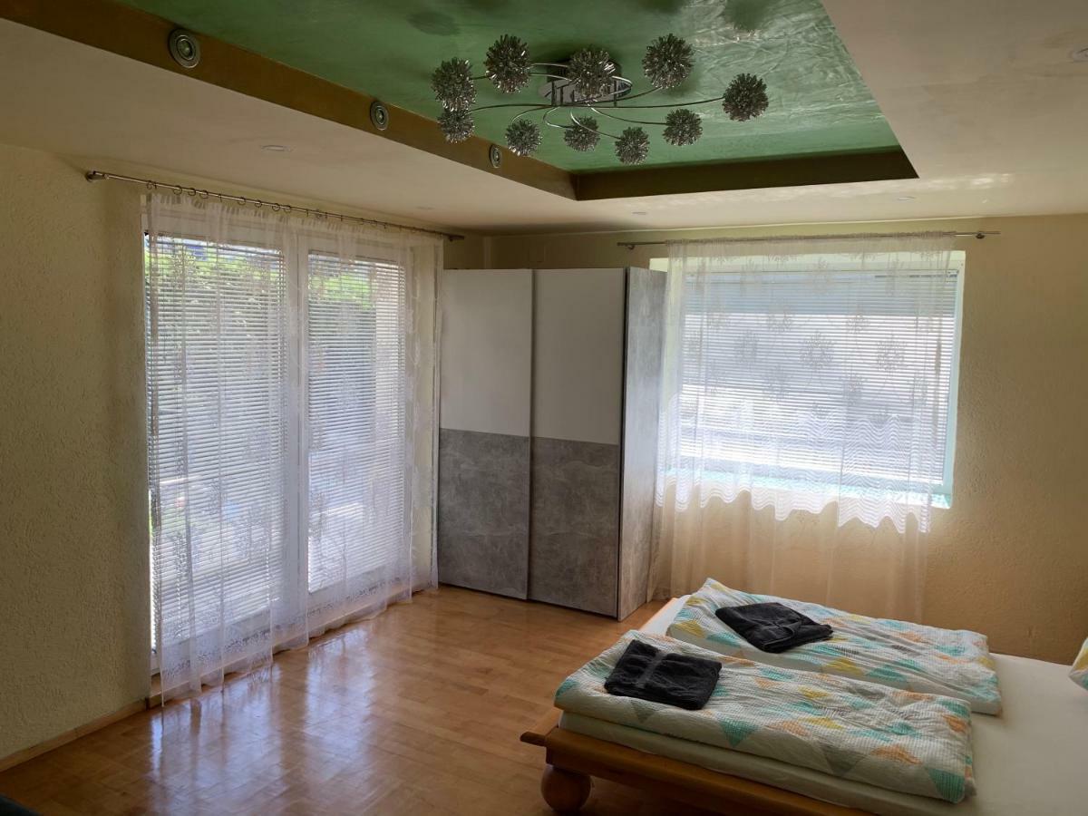 Nexi S Appartement An Der Enns 9 ラートシュタット エクステリア 写真